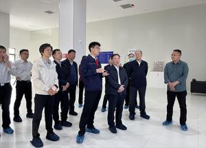 省人大常委會副主任劉南昌一行到麥斯克電子調(diào)研